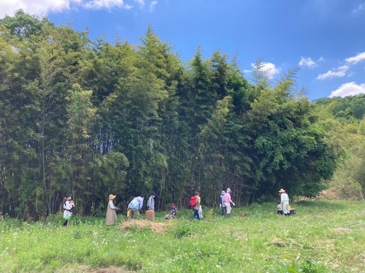 nature